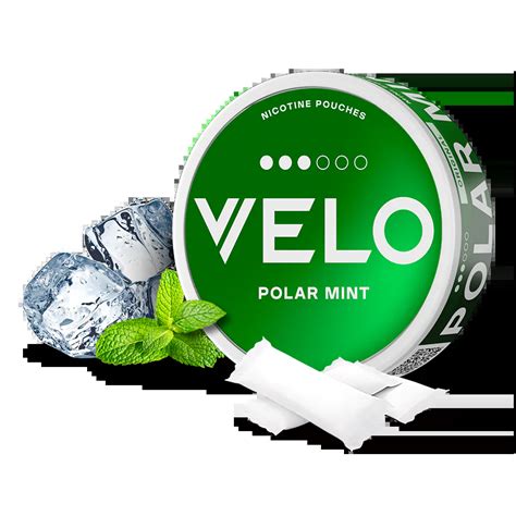 Velo Nicotine Pouches Polar Mint In Dubai Abu Dhabi UAE Vape 12 UAE