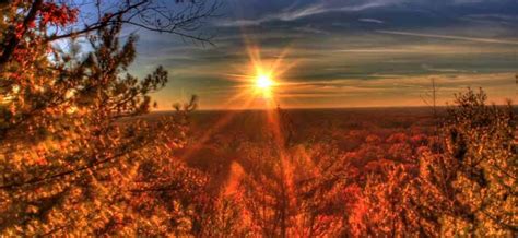 Витамин Д и солнце: сколько получаем витамина Д на солнце, через стекло