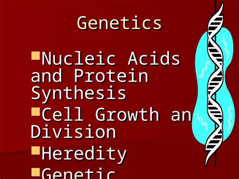 Ppt Nucleic Acids And Protein Synthesis Nucleic Acids And Protein Synthesis Cell Growth And