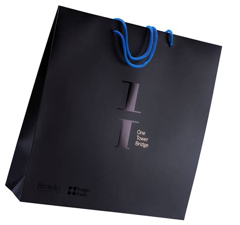 Luxury Paper Carrier Bag Progress Packaging Shopping Bag Design