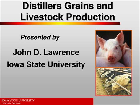 Ppt Distillers Grains And Livestock Production Powerpoint Presentation Id 1781206