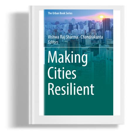 Making Cities Resilient