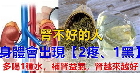 腎不好的人，身體會出現「2疼」、「1黑」，常喝一種水，補腎益氣，腎越養越好 Peekme