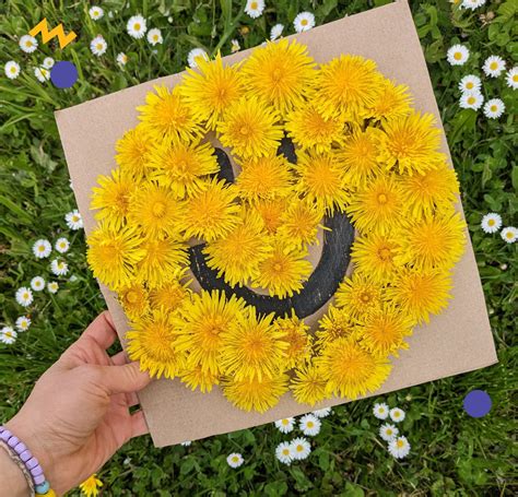 Vom Löwenzahn zur Pusteblume Schnipsel Kiste