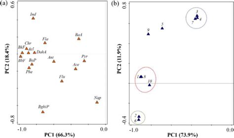 Principal Component Analysis Pca Loading Plot For Individual Pahs A