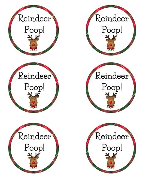 Reindeer Poop Mason Jar T And Free Printable T Tag Christmas