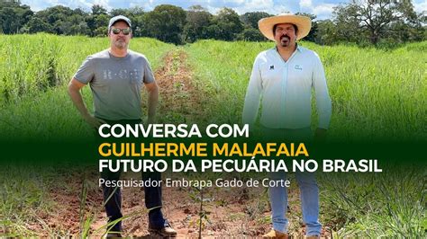 Conversa Guilherme Malafaia Pesquisador Embrapa Gado De Corte Youtube