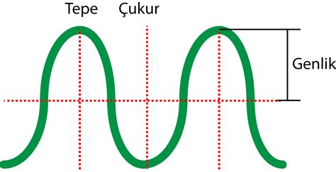 Dalgalar Temel Kavramlar Yay Dalgaları