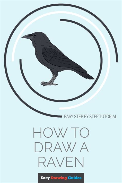 How to Draw a Raven | Step-by-Step Tutorial | Easy Drawing Guides