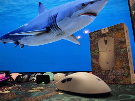 Got in the Darmoshark M3 4K! : r/MouseReview