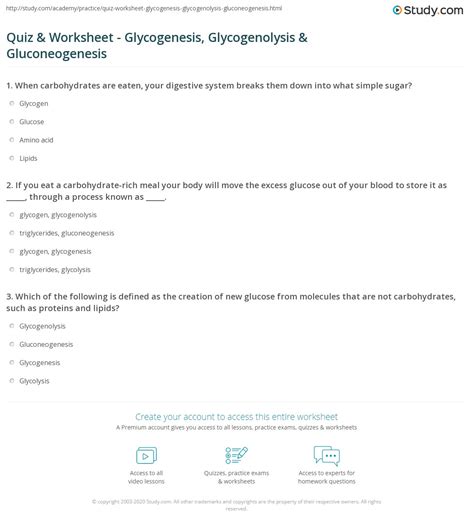 Quiz And Worksheet Glycogenesis Glycogenolysis And Gluconeogenesis