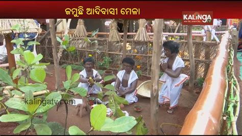 Visitors Throng Adivasi Mela 2020 In Bhubaneswar Youtube