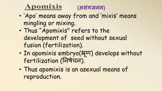 apomixis  flowering plants