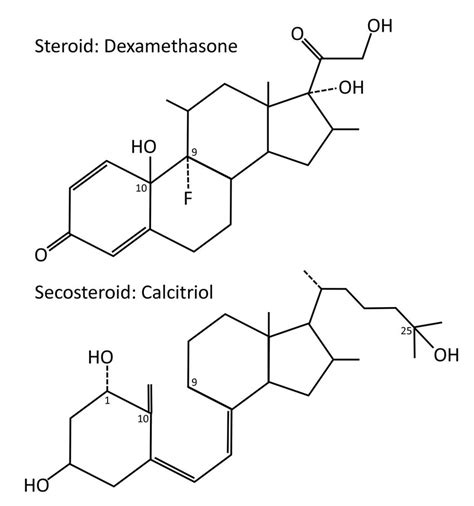 Structural Differences Between A Steroid E G Dexamethasone And A