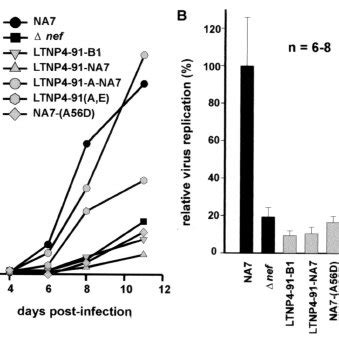 Replication Of HIV 1 NL4 3 Nef Variants In HLT Ex Vivo A Typical