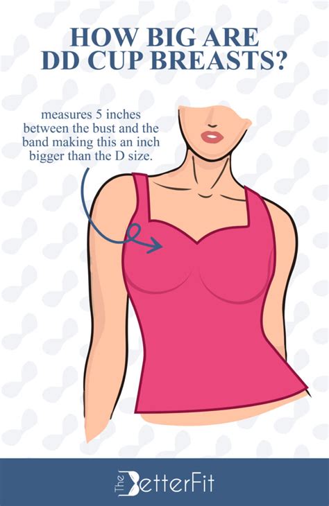 Double D Cup Breast Size