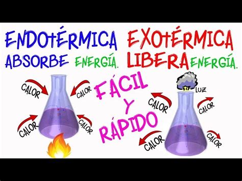 Diferencia entre Reacciones Endotérmicas y Exotérmicas Explicación y