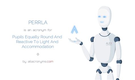 PERRLA Pupils Equally Round And Reactive To Light And Accommodation