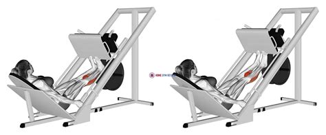 Sled Calf Press On Leg Press Female Home Gym Review