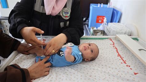 The Un Calls For A Temporary Truce To Fight Polio In Gaza The New