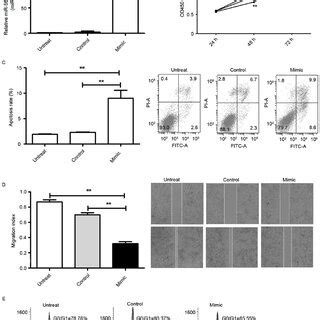 Ectopic Overexpression Of MiR 569 Inhibits Cellular Proliferation And