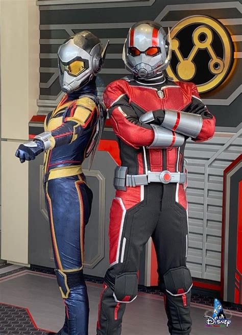 PHOTOS: Ant-Man and the Wasp Debut Socially Distant Appearance at Hong ...