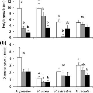 Growth in a height and b diameter of three-year-old Pinus pinaster, P ...