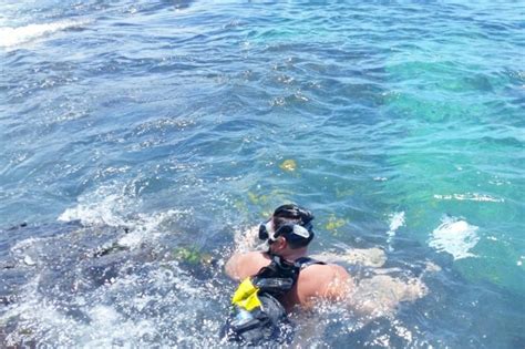 Two Step Beach Snorkeling Was Great 🐠 Where To Enter Water At Honaunau Bay 🐠🌴 Kona Big Island