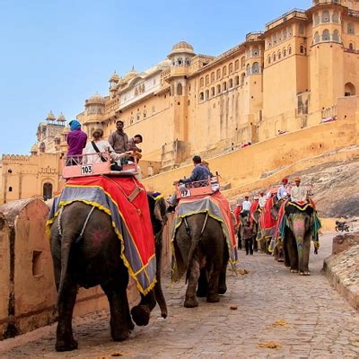 Tour Packages Ranthambore Tours Wildlife Safari Packages From Delhi