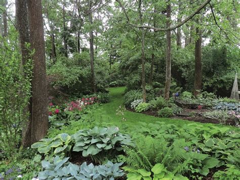 woodland plants page      plants garden supplies