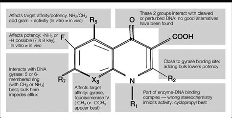 Fluoroquinolone Structure