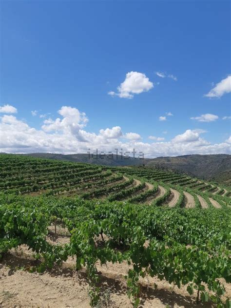 Terreno à venda lugar bemposta s n Bemposta Mogadouro idealista