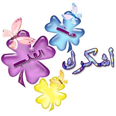 شكرا شكرا