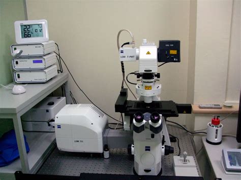 Confocal Microscopes Yangming Inverted Laser Scanning Confocal