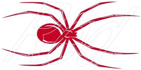 Black Widow Spider ~ Vinyl Graphic Decal Sticker ~ 4 Colors And 6 Sizes Ebay