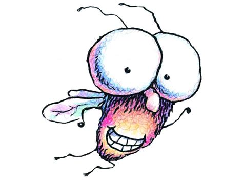 fly guy  stories mclean va patch