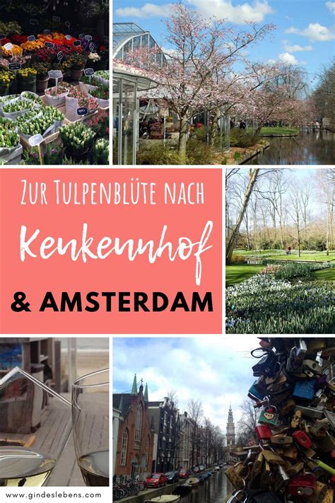 Keukenhof Holland zur Tulpenblüte nach Keukenhof und Amsterdam