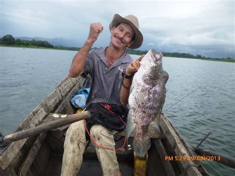 Pesca De Guapote Y Otros Peces Pescadores Y Cuentos