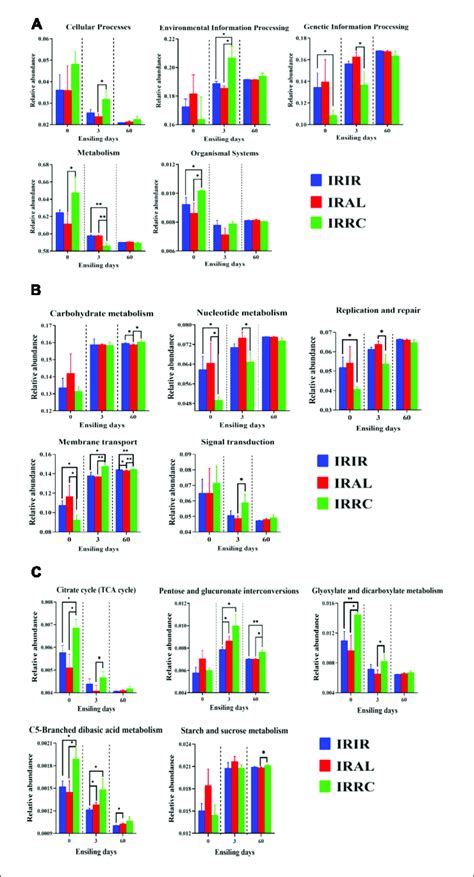 The Changes Of Kegg Metabolic Pathways On The First A Second B