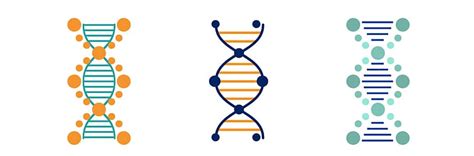 Various types of variant: what is genomic variation? - Genomics ...