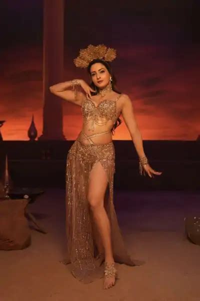 Zaara Yesmin Hot Navel Pics And Photo In Lehnga