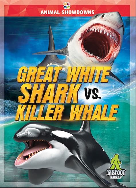 Great White Shark vs. Killer Whale | Indigo