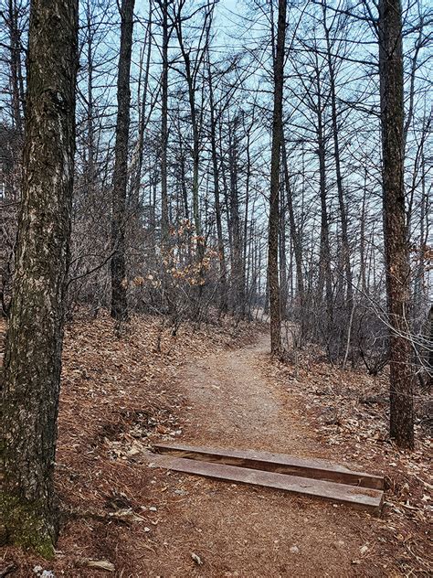 서울근교 등산 김포 문수산 등산로 문수산성 문수산산림욕장 네이트뷰