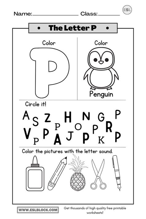 The Letter P Worksheet With An Owl Pineapple And Other Items On It