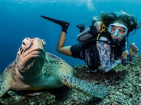 gili divers gili trawangan ce quil faut savoir pour votre visite