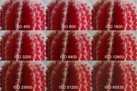 ¿qué Es El Iso En Fotografía Fotografía Profesional Aprende