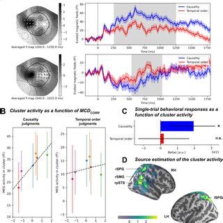 Task Related Evoked Activity And Cortical Source Estimates A