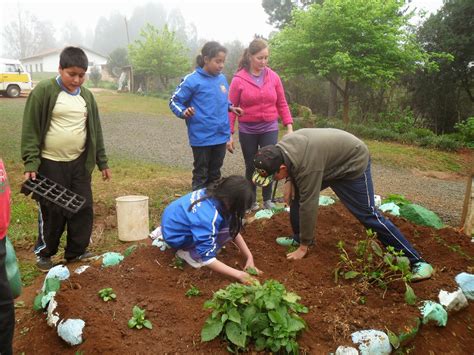 Atividades Realizadas No Campo - 15ª EDIÇÃO PROJETO ESCOLA NO CAMPO: E.M.N. LINHA VITÓRIA - ATIVIDADES ...