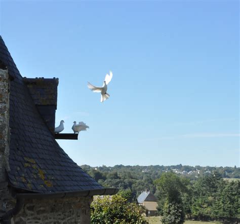 Accueillir le don du Saint Esprit pour ne Les Foyers de Charité