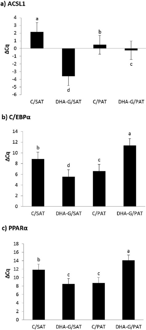 Gene Expression By Quantitative Real Time Polymerase Chain Reaction